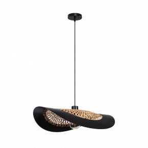 Подвесной светильник Arte Lamp Woodstock A7059SP-1BK в Кургане - kurgan.ok-mebel.com | фото 2