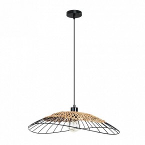Подвесной светильник Arte Lamp Woodstock A7061SP-1BK в Кургане - kurgan.ok-mebel.com | фото 2