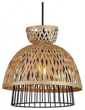 Подвесной светильник Arte Lamp Woodstock A7070SP-1BK в Кургане - kurgan.ok-mebel.com | фото 2