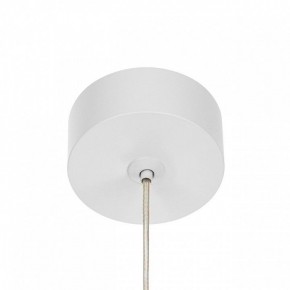 Подвесной светильник Citilux Bruno CL565010 в Кургане - kurgan.ok-mebel.com | фото 5