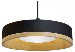 Подвесной светильник Divinare Vaso 5119/06 SP-12 в Кургане - kurgan.ok-mebel.com | фото