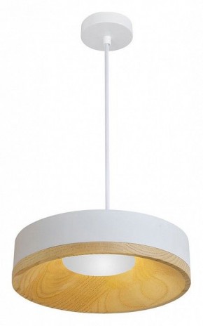 Подвесной светильник Divinare Vaso 5119/33 SP-8 в Кургане - kurgan.ok-mebel.com | фото 2