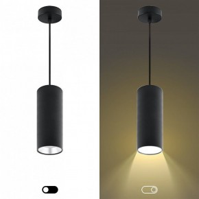 Подвесной светильник Эра  PL12 GX53 BK/SL в Кургане - kurgan.ok-mebel.com | фото 5