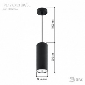 Подвесной светильник Эра  PL12 GX53 BK/SL в Кургане - kurgan.ok-mebel.com | фото 8