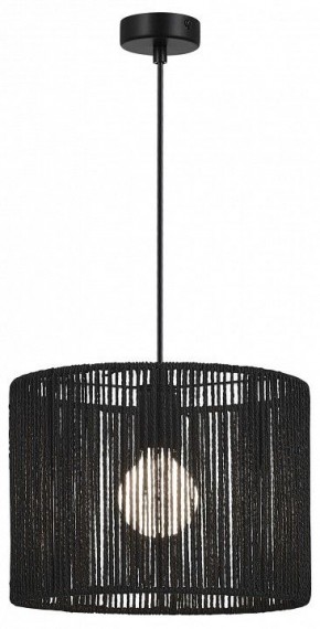 Подвесной светильник EVOLUCE ETTAN SLE6024-403-01 в Кургане - kurgan.ok-mebel.com | фото 2