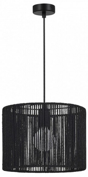 Подвесной светильник EVOLUCE ETTAN SLE6024-403-01 в Кургане - kurgan.ok-mebel.com | фото 4