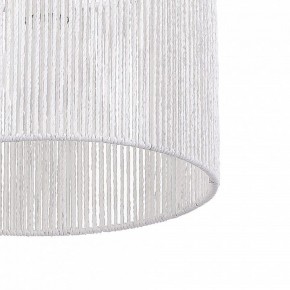 Подвесной светильник EVOLUCE ETTAN SLE6024-503-01 в Кургане - kurgan.ok-mebel.com | фото 8