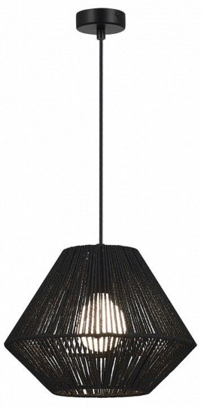 Подвесной светильник EVOLUCE ETTAN SLE6025-403-01 в Кургане - kurgan.ok-mebel.com | фото 2