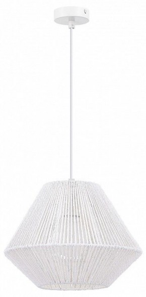 Подвесной светильник EVOLUCE ETTAN SLE6025-503-01 в Кургане - kurgan.ok-mebel.com | фото 4