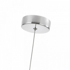 Подвесной светильник Favourite Cattivo 4453-1P в Кургане - kurgan.ok-mebel.com | фото 7