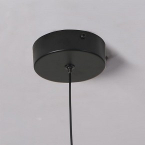 Подвесной светильник Favourite Wilet 4656-1P в Кургане - kurgan.ok-mebel.com | фото 10