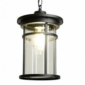 Подвесной светильник Feron PL765 51819 в Кургане - kurgan.ok-mebel.com | фото 3