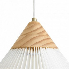 Подвесной светильник Freya Kinsley FR5533PL-01BS в Кургане - kurgan.ok-mebel.com | фото 8