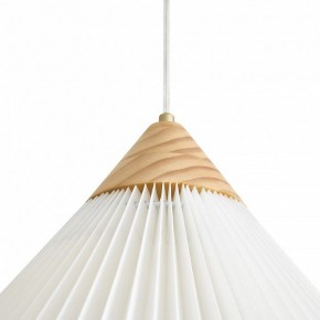 Подвесной светильник Freya Kinsley FR5533PL-01BS1 в Кургане - kurgan.ok-mebel.com | фото 8