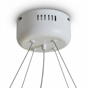 Подвесной светильник Freya Rain FR5546PL-L60W в Кургане - kurgan.ok-mebel.com | фото 9