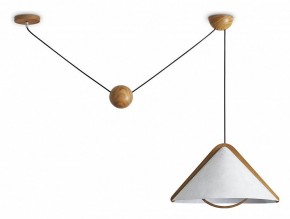 Подвесной светильник Freya Umbra FR5554CL-01T в Кургане - kurgan.ok-mebel.com | фото