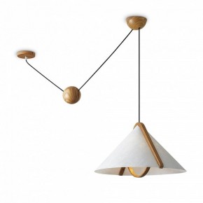 Подвесной светильник Freya Umbra FR5554CL-01T в Кургане - kurgan.ok-mebel.com | фото 2
