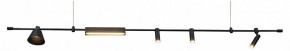 Подвесной светильник Kink Light Ристо 07616-180L,19 в Кургане - kurgan.ok-mebel.com | фото