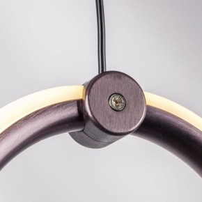 Подвесной светильник Lightstar Caramello 796289 в Кургане - kurgan.ok-mebel.com | фото 10