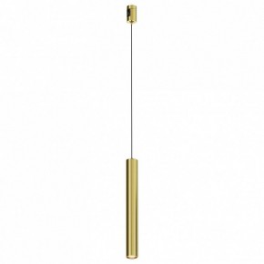 Подвесной светильник Maytoni Focus Led TR155-1-5W3K-BS в Кургане - kurgan.ok-mebel.com | фото