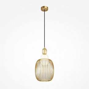 Подвесной светильник Maytoni Levitation MOD376PL-01G1 в Кургане - kurgan.ok-mebel.com | фото 2