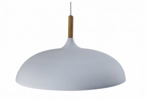 Подвесной светильник Moderli Hygo V11447-1P в Кургане - kurgan.ok-mebel.com | фото