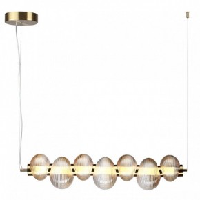 Подвесной светильник Odeon Light Bruco 5095/24L в Кургане - kurgan.ok-mebel.com | фото 2