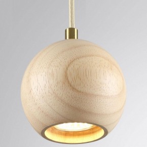 Подвесной светильник Odeon Light Caucho 7061/1 в Кургане - kurgan.ok-mebel.com | фото 2