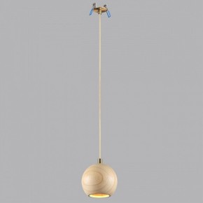 Подвесной светильник Odeon Light Caucho 7061/1 в Кургане - kurgan.ok-mebel.com | фото 3