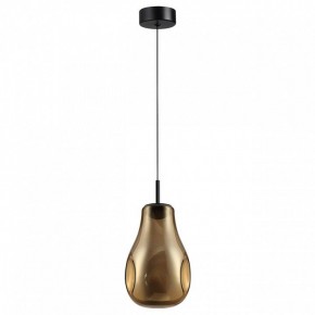 Подвесной светильник Odeon Light Nave 5098/4LA в Кургане - kurgan.ok-mebel.com | фото 4