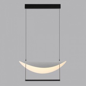 Подвесной светильник Odeon Light Next 7015/20L в Кургане - kurgan.ok-mebel.com | фото 4