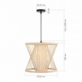 Подвесной светильник ST-Luce ALMA SL6241.503.01 в Кургане - kurgan.ok-mebel.com | фото 5
