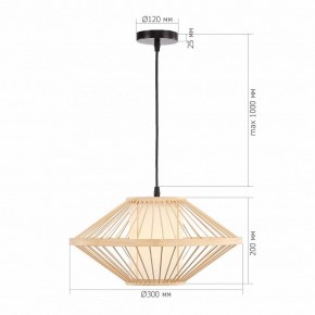 Подвесной светильник ST-Luce ALMA SL6241.533.01 в Кургане - kurgan.ok-mebel.com | фото 5
