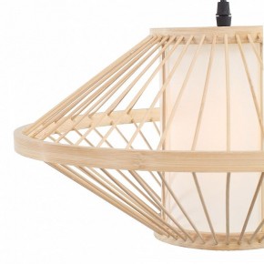 Подвесной светильник ST-Luce ALMA SL6241.533.01 в Кургане - kurgan.ok-mebel.com | фото 6