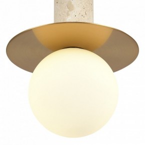 Подвесной светильник ST-Luce Earthy SL1194.303.01 в Кургане - kurgan.ok-mebel.com | фото 5