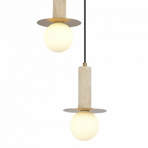 Подвесной светильник ST-Luce Earthy SL1194.303.03 в Кургане - kurgan.ok-mebel.com | фото 4