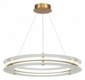 Подвесной светильник ST-Luce FAGY SL6245.203.01 в Кургане - kurgan.ok-mebel.com | фото 2