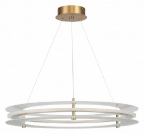 Подвесной светильник ST-Luce FAGY SL6245.203.01 в Кургане - kurgan.ok-mebel.com | фото 3