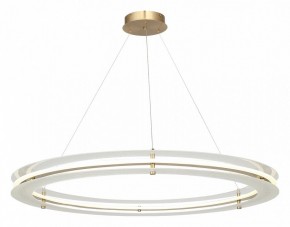 Подвесной светильник ST-Luce FAGY SL6245.213.01 в Кургане - kurgan.ok-mebel.com | фото 4