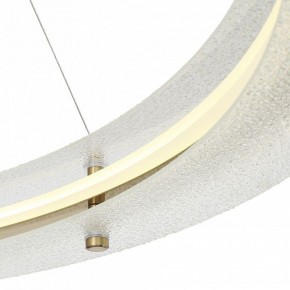 Подвесной светильник ST-Luce FAGY SL6245.213.01 в Кургане - kurgan.ok-mebel.com | фото 6