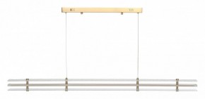 Подвесной светильник ST-Luce FAGY SL6245.223.01 в Кургане - kurgan.ok-mebel.com | фото 3