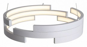 Подвесной светильник ST-Luce Genuine SL963.503.01 в Кургане - kurgan.ok-mebel.com | фото