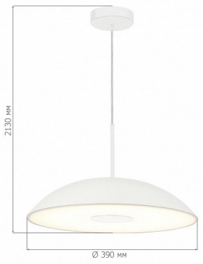Подвесной светильник ST-Luce Lido SL6128.503.01 в Кургане - kurgan.ok-mebel.com | фото 4