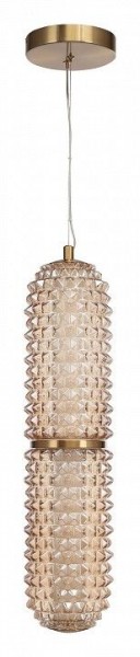 Подвесной светильник ST-Luce SAGUARO SL6144.303.01 в Кургане - kurgan.ok-mebel.com | фото 3
