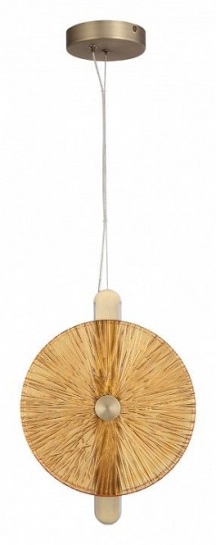 Подвесной светильник ST-Luce WASI SL6141.313.01 в Кургане - kurgan.ok-mebel.com | фото 3