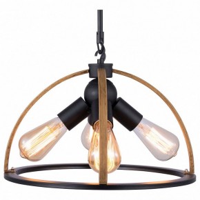 Подвесной светильник TopLight Jasmin TL1179H-04BK в Кургане - kurgan.ok-mebel.com | фото