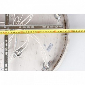 Потолочная люстра Aployt Teresa APL.855.06.10 в Кургане - kurgan.ok-mebel.com | фото 16