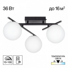 Потолочная люстра Citilux Dorsy CL223132 в Кургане - kurgan.ok-mebel.com | фото 10