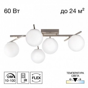 Потолочная люстра Citilux Dorsy CL223151 в Кургане - kurgan.ok-mebel.com | фото 2