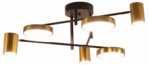 Потолочная люстра Kink Light Рапис 07645-6D,19(20) в Кургане - kurgan.ok-mebel.com | фото